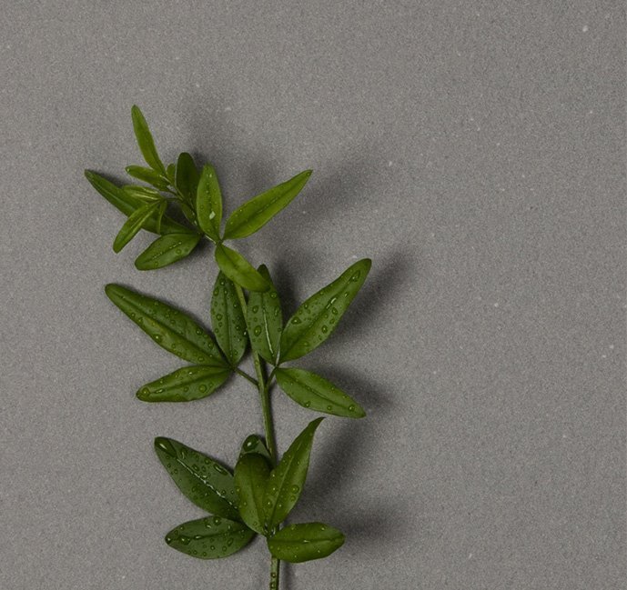 lapitec-100-naturale__greenvision3(2)