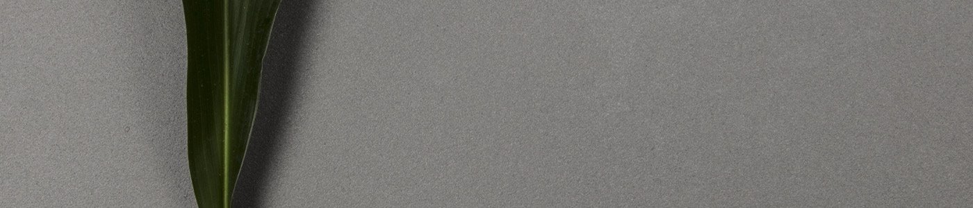 lithos-dettaglio(7)